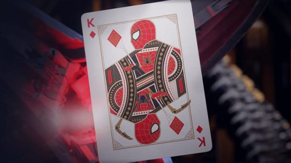 SPIDER-MAN - THEORY11 - Imagen 2